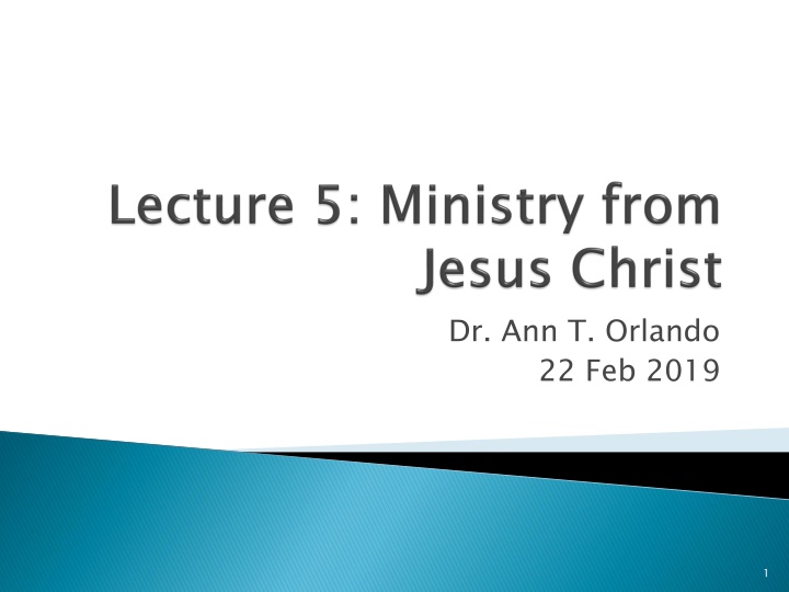 dr ann t orlando 22 feb 2019