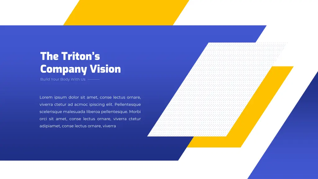 the triton s company vision