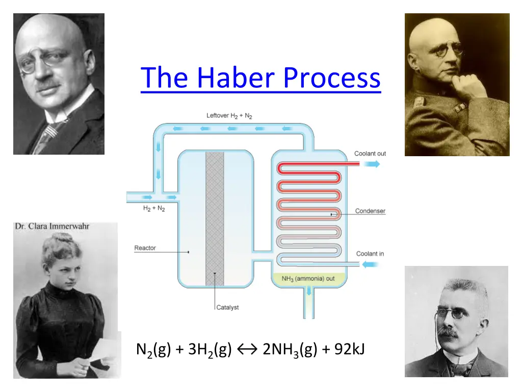the haber process