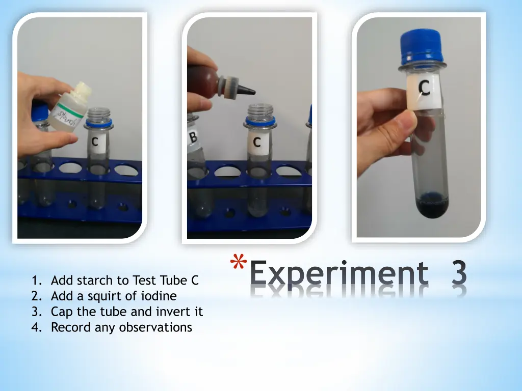 experiment 3