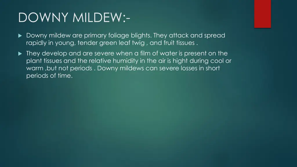 downy mildew