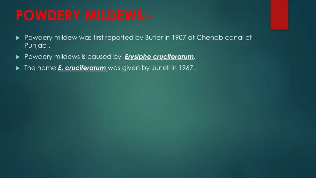 powdery mildews