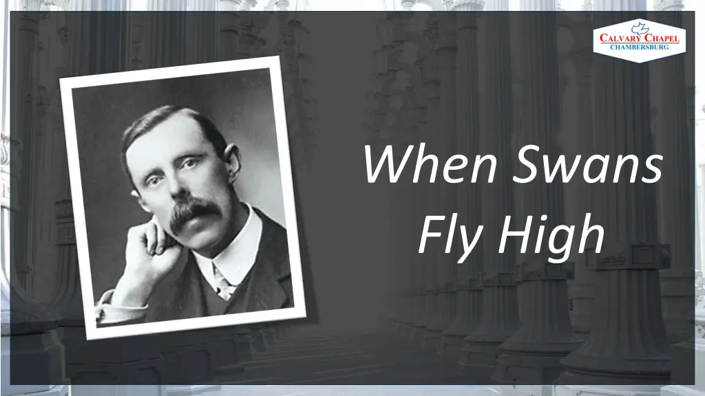 when swans fly high