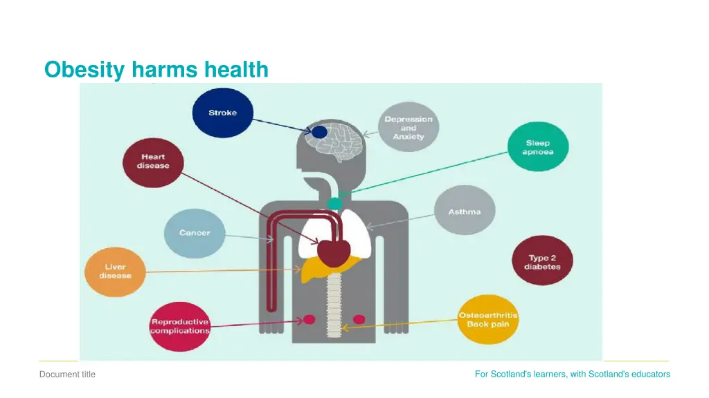 obesity harms health