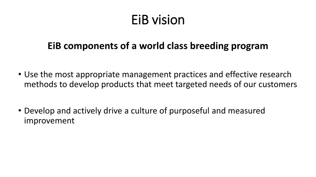 eib eib vision vision
