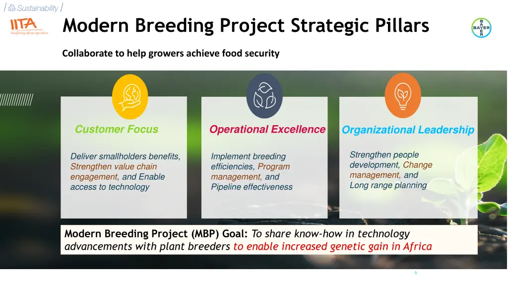 modern breeding project strategic pillars
