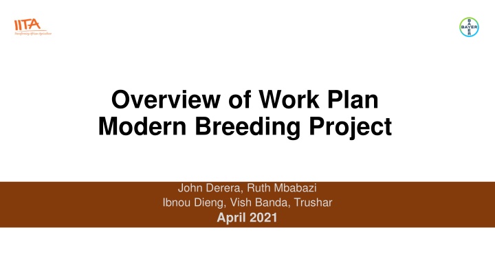 overview of work plan modern breeding project