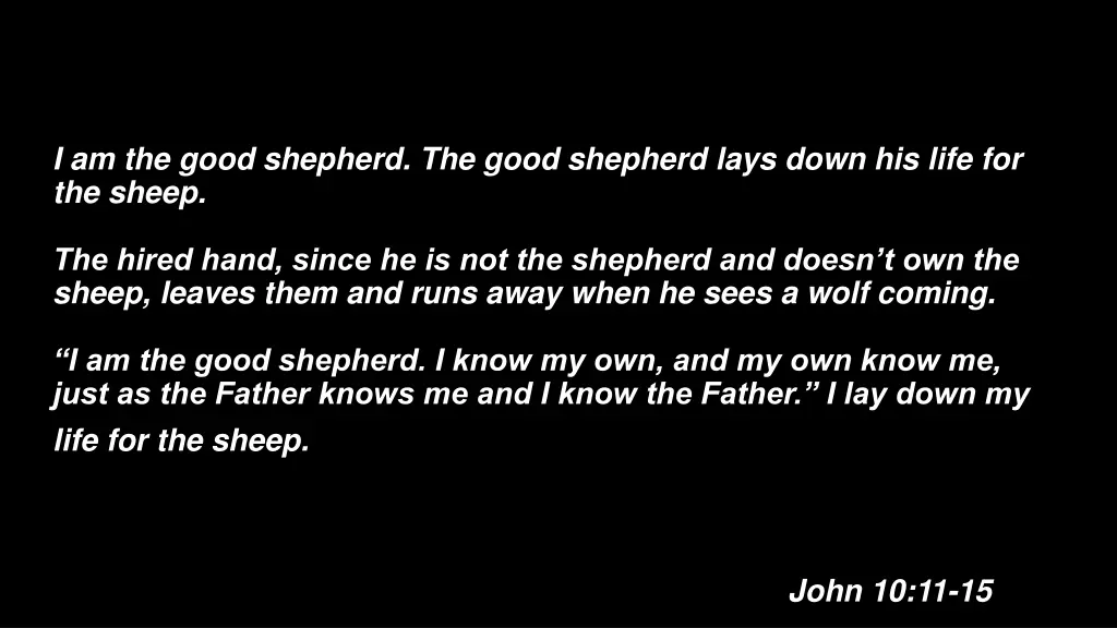 i am the good shepherd the good shepherd lays