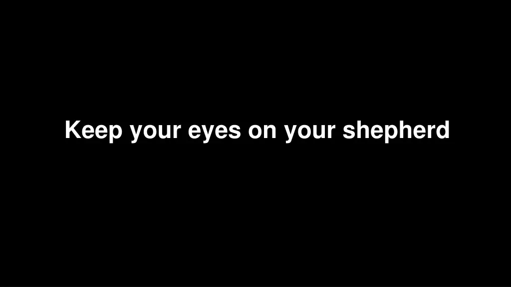 keep your eyes on your shepherd