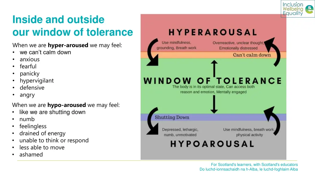inside and outside our window of tolerance when