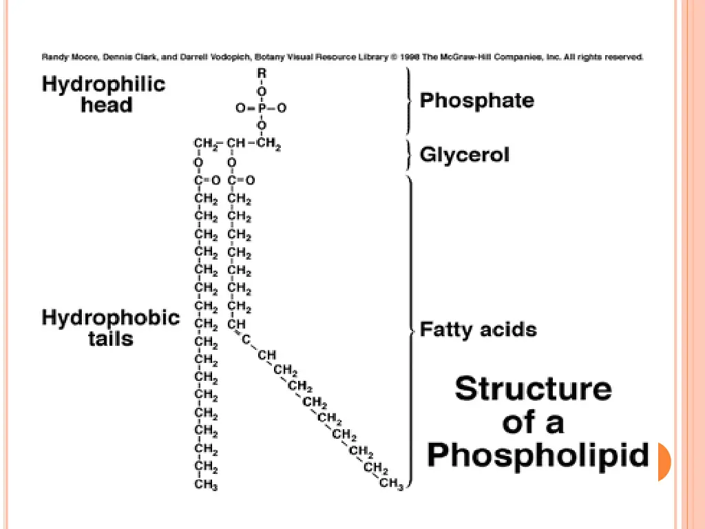 slide12