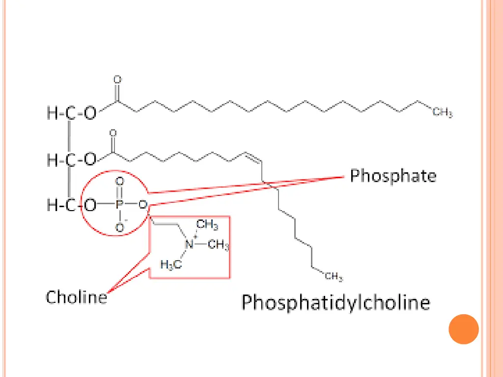 slide17
