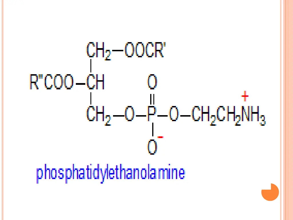 slide21