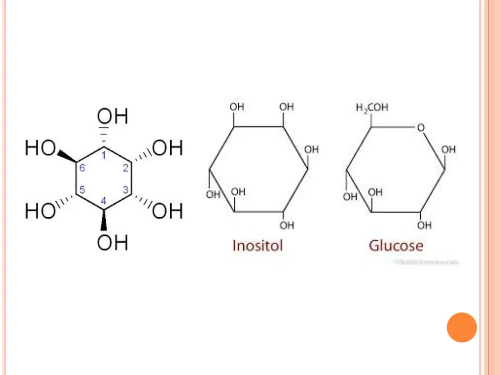 slide26