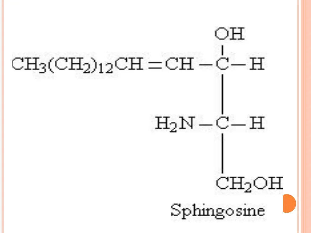 slide28
