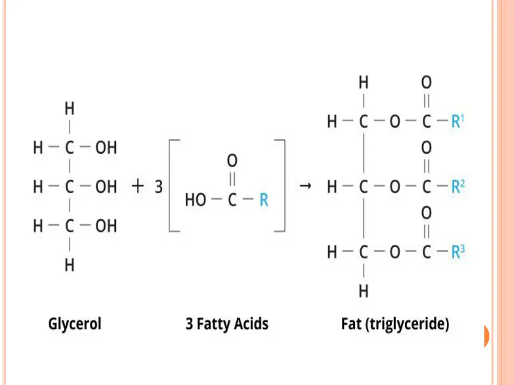 slide6