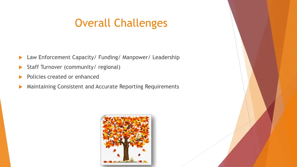 overall challenges 1
