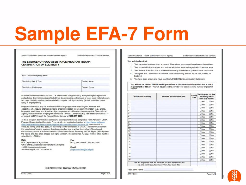 sample efa 7 form