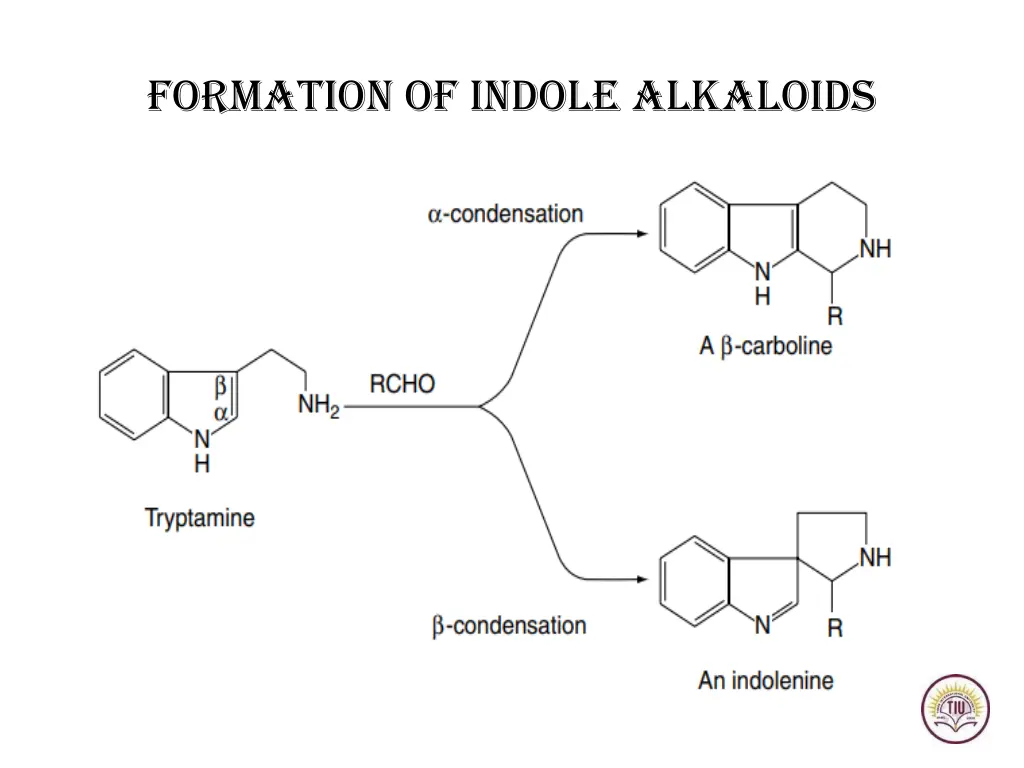 formation of indole alkaloids