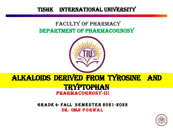 tishk tishk international university