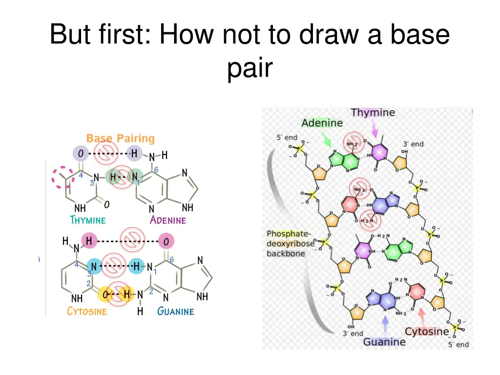 but first how not to draw a base pair