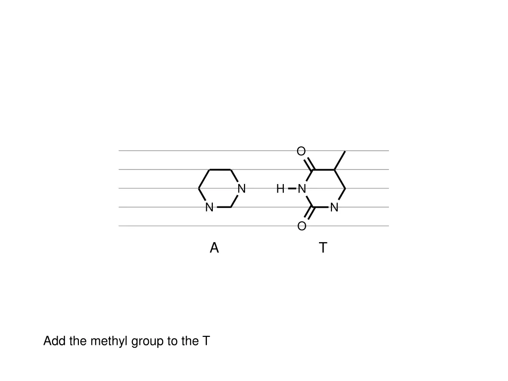 slide17