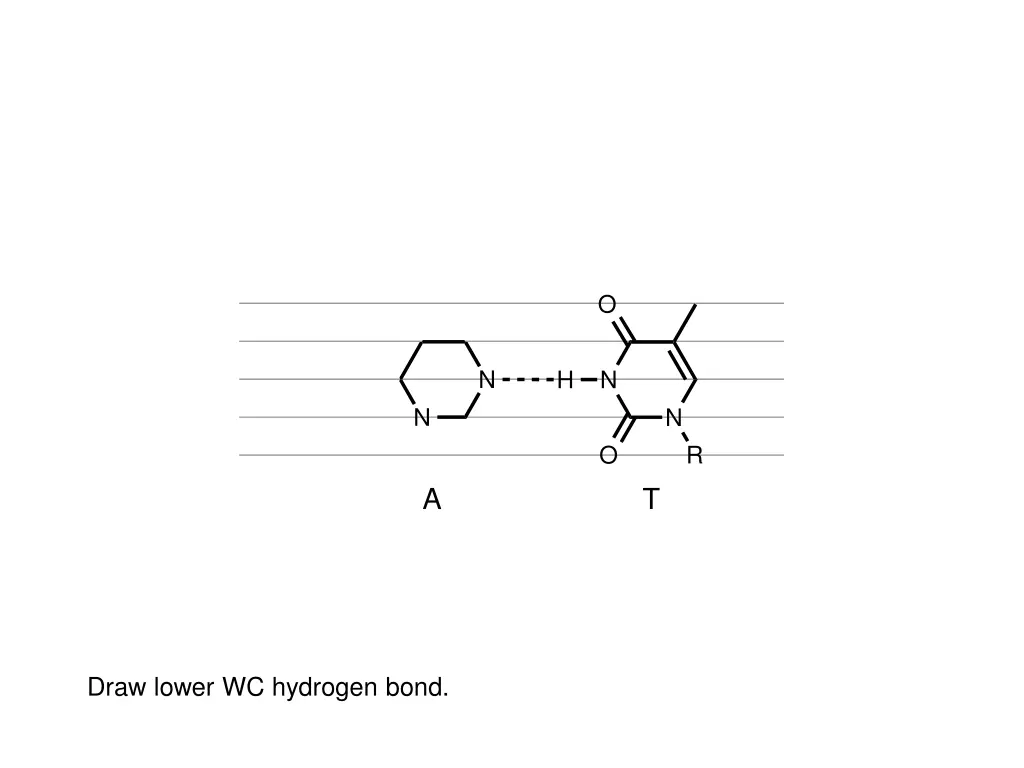 slide20
