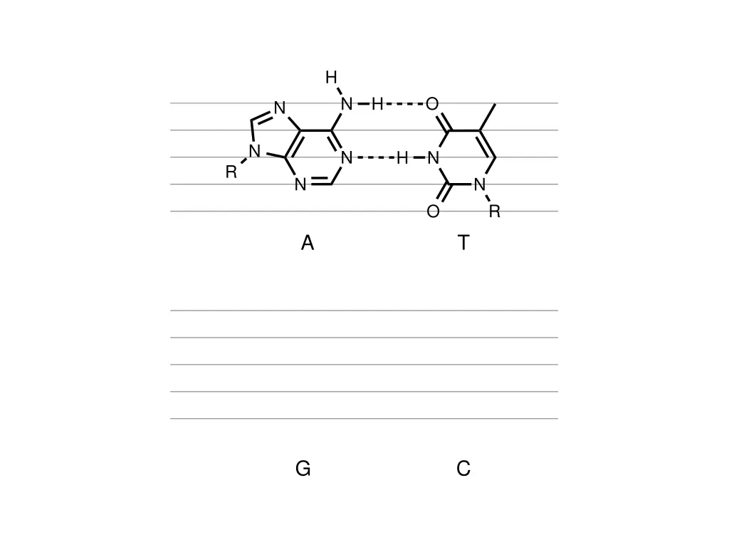 slide26