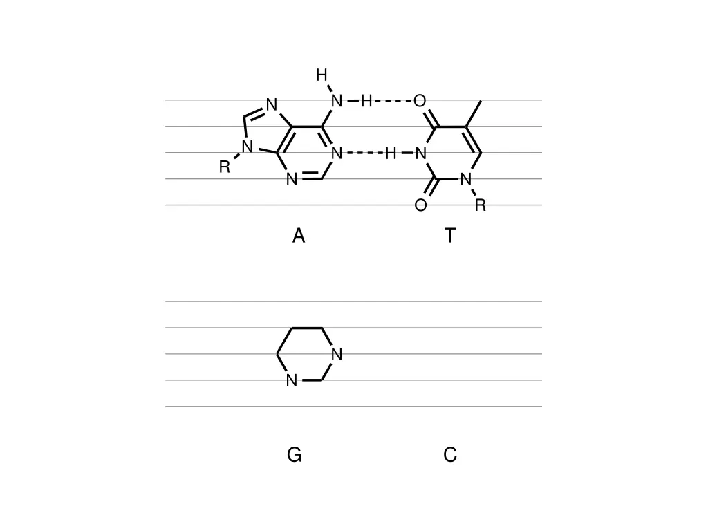 slide27