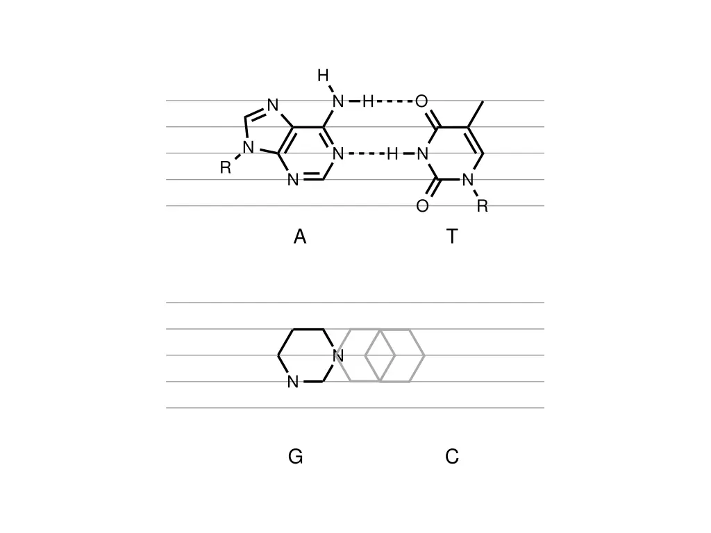 slide28