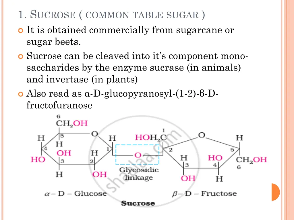 1 s ucrose common table sugar it is obtained