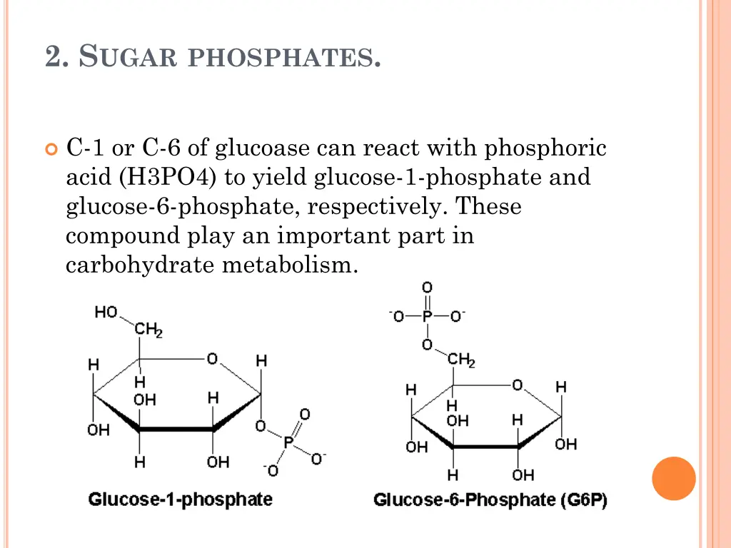 2 s ugar phosphates