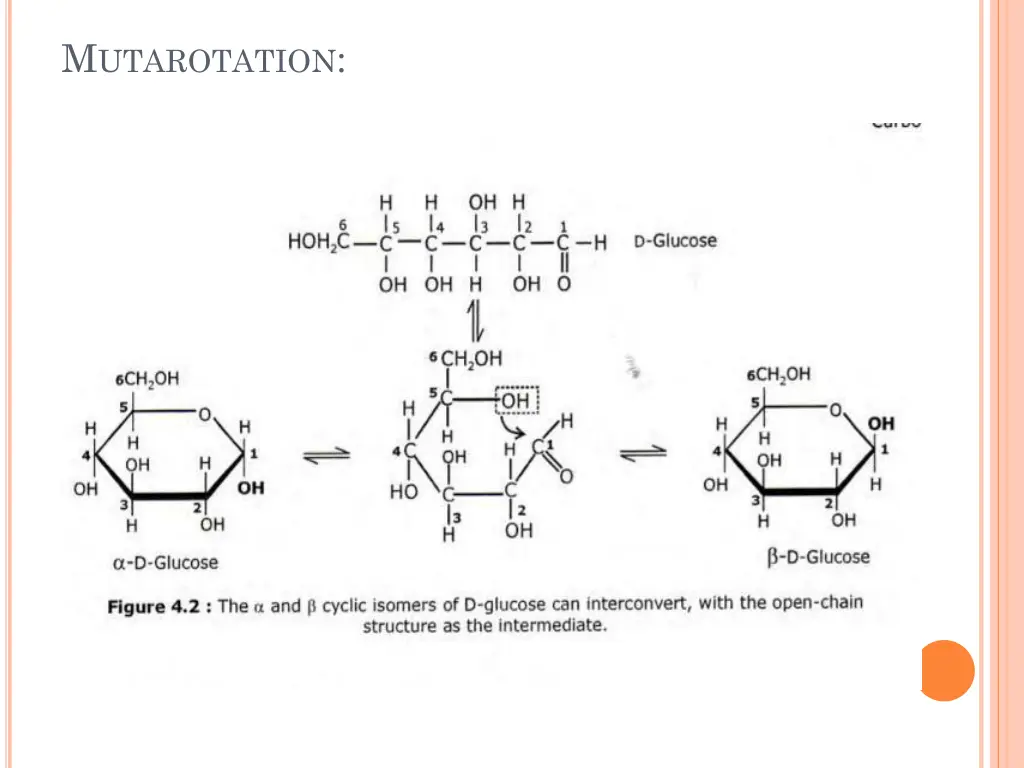 m utarotation 1