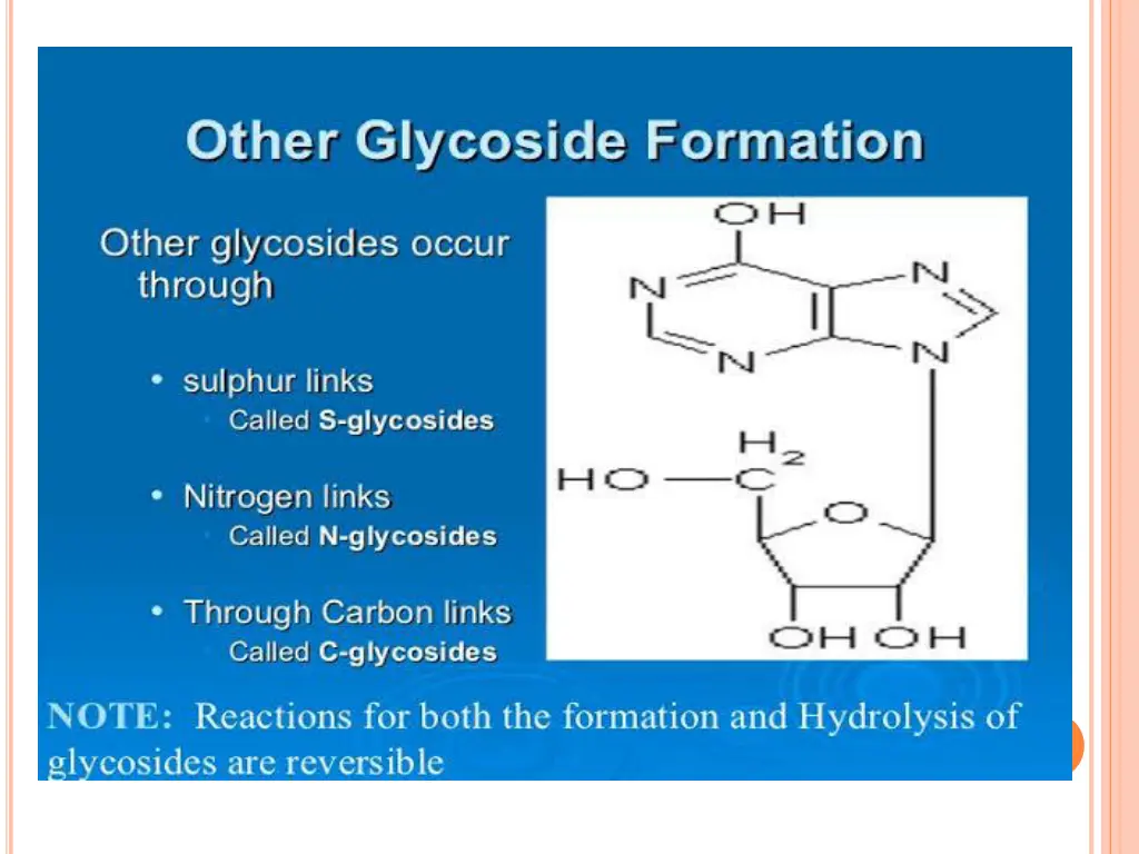 slide19