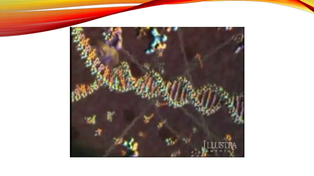 slide13