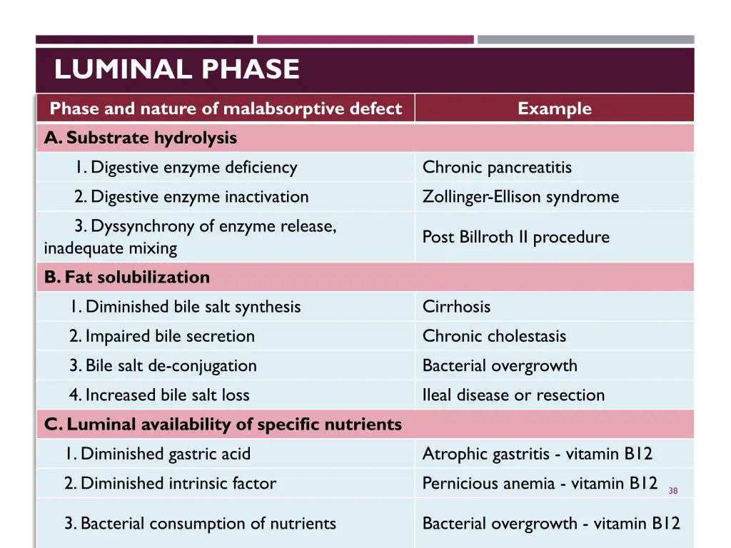 luminal phase