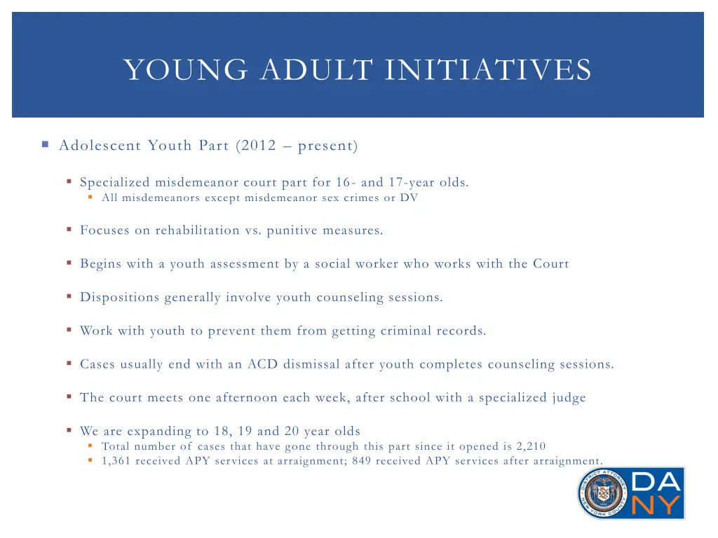 young adult initiatives 2