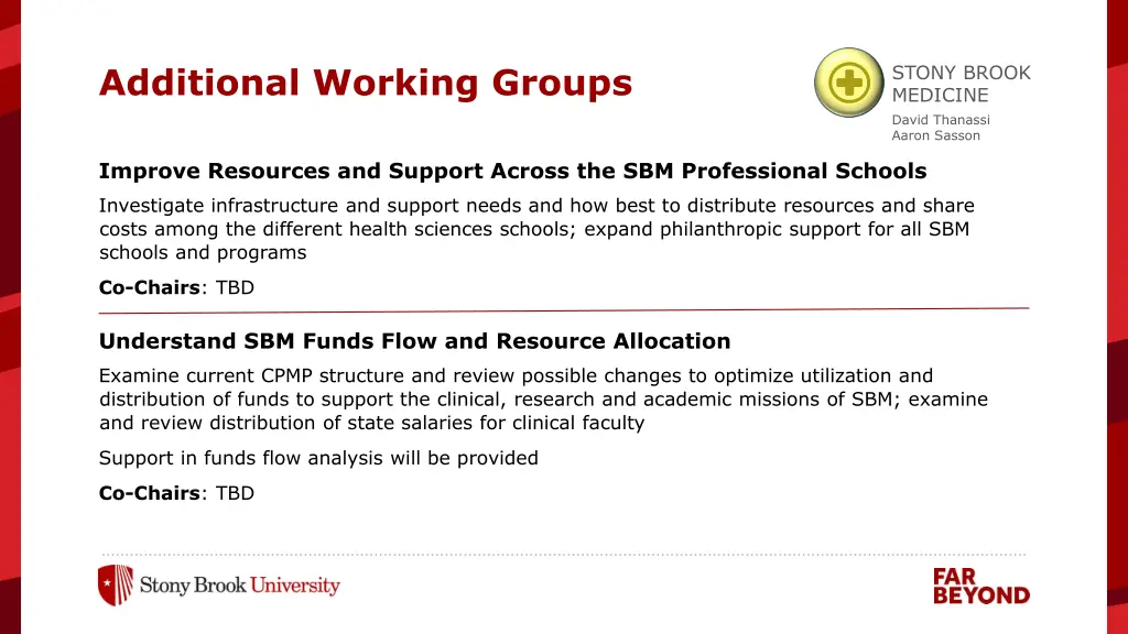additional working groups