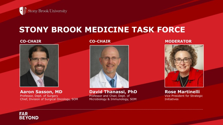 stony brook medicine task force