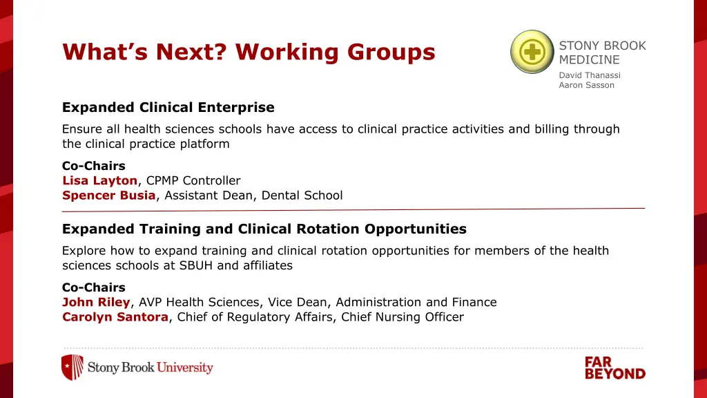 what s next working groups