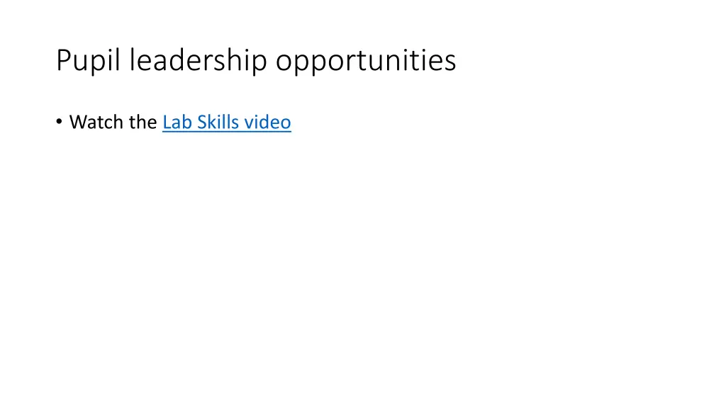 pupil leadership opportunities