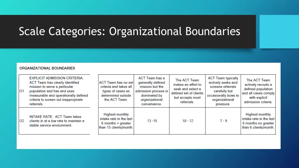 scale categories organizational boundaries