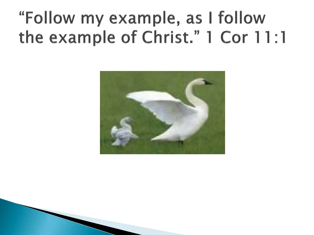 slide33