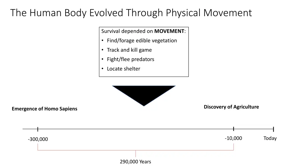 the human body evolved through physical movement