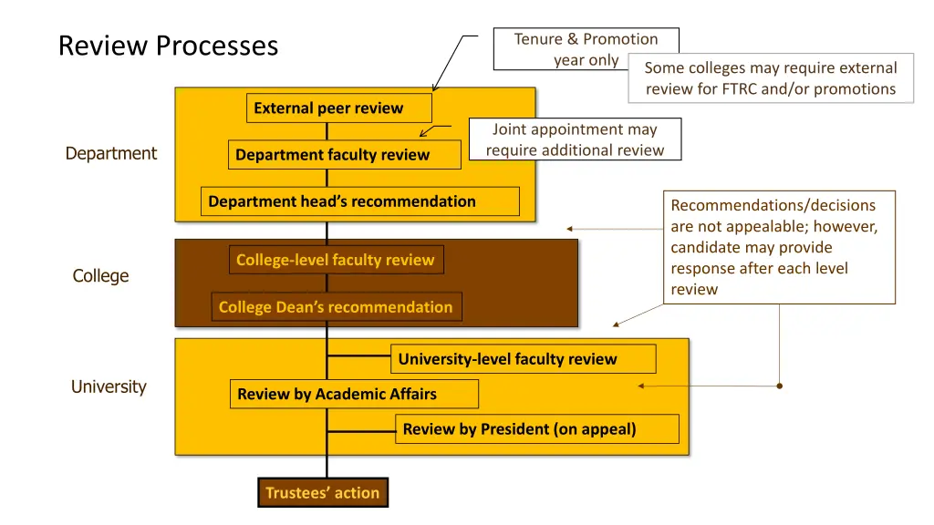 tenure promotion year only
