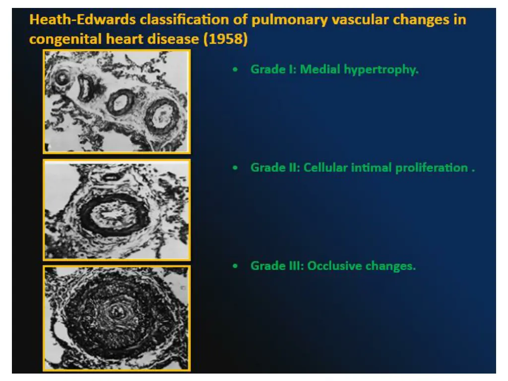 slide5
