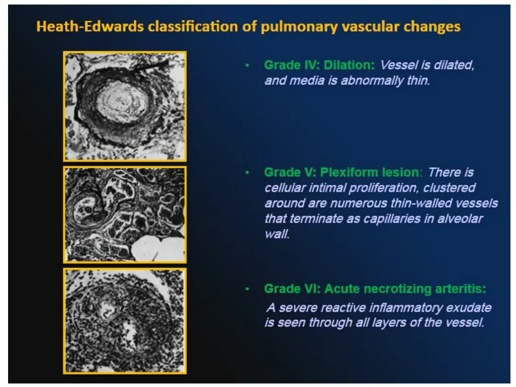 slide6