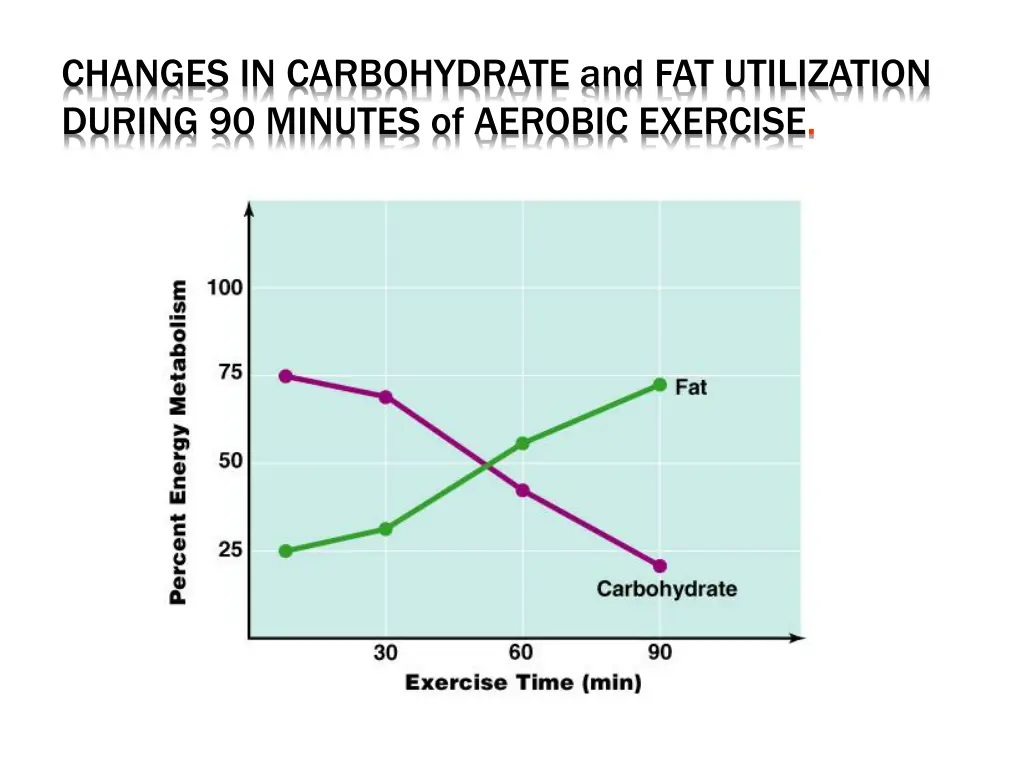 changes in carbohydrate and fat utilization
