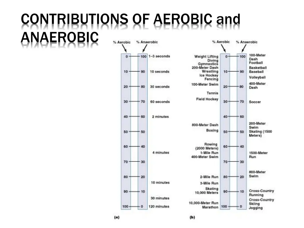 contributions of aerobic and anaerobic