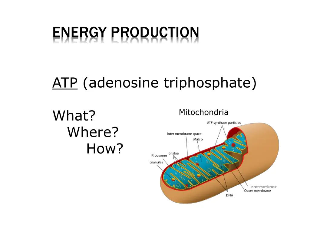 energy production